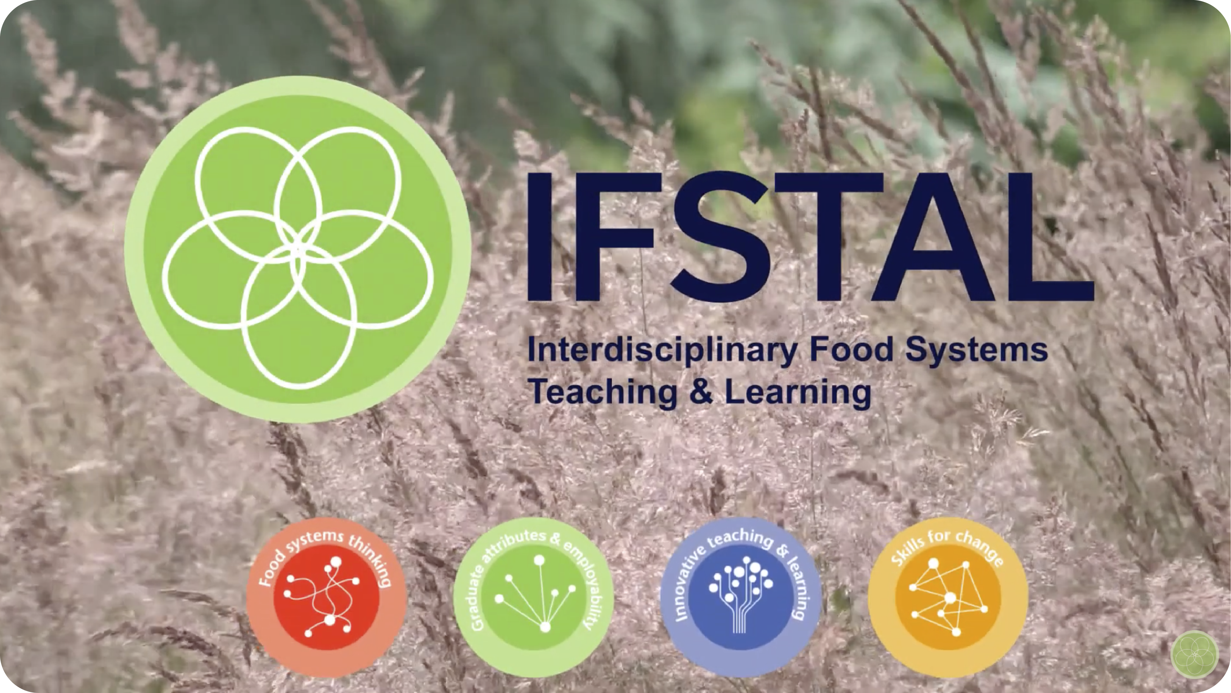 IFSTAL YouTube
